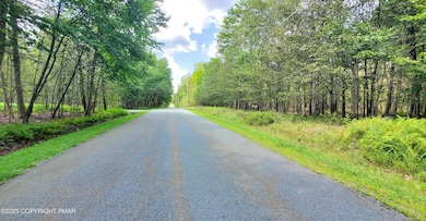 Y2801 Theta Dr, Clifton Township, PA 18424 - photo 3