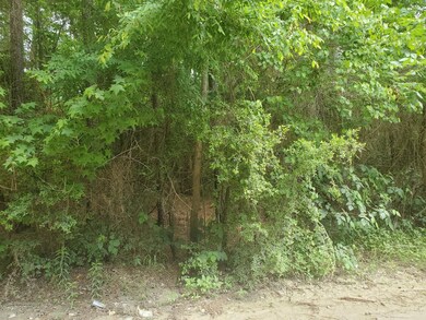 Lot 3 Magnolia Springs, Plantersville, TX 77363 - photo 4