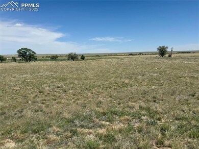 Tract 2 S East Ellicott Rd, Calhan, CO 80808 - photo 6