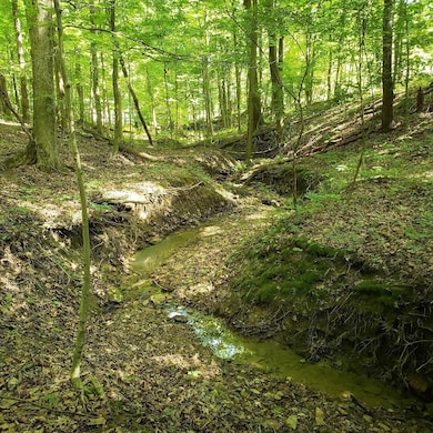 0 Mulberry Rd, Mount Perry, OH 43760 - photo 4