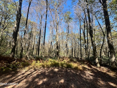 0 74 & 75 Elm Dr unit 20-101640, Catawissa, PA 17820 - photo 2