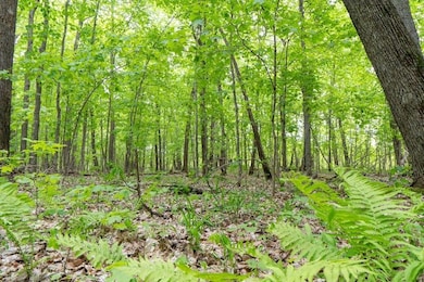 0 Tbd Ne Rock Lake Rd unit 24708710, Rochert, MN 56578 - photo 2