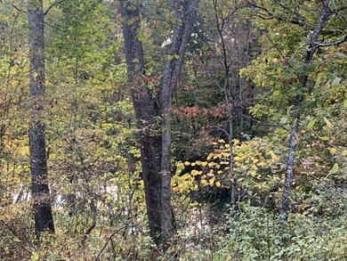 Pond View