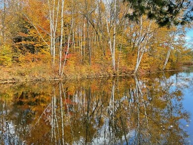 IMG_0131