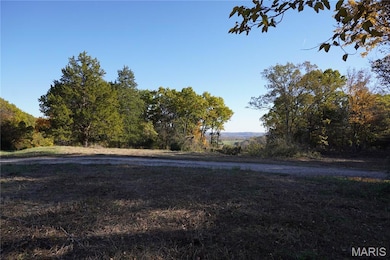 20 Acres Highway P, Wentzville Township, MO 65069 - photo 2