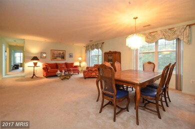 4500 Chaucer Way unit 302, Owings Mills, MD 21117 - photo 6