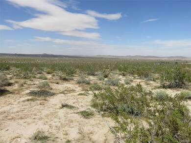 0 Hollinger Rd unit EV19220342, Joshua Tree, CA 92252 - photo 7