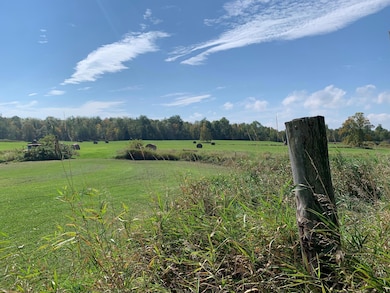 14331 395th Ln, Tamarack, MN 55787 - photo 3