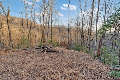 00 Brandy Ln, Franklin, NC 28734 - photo 6