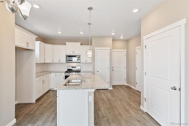 18774 E 99th Ave, Commerce City, CO 80022 - photo 6