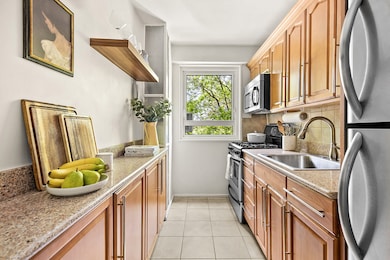 Concord Village unit 5F, Brooklyn, NY 11201 - photo 4