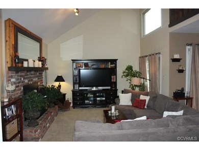 Family Room, cathedral ceiling, skylight, wood bur