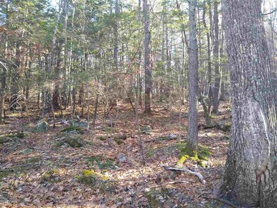 0 Forest Rd unit 7, Wolfeboro, NH 03894 - photo 7