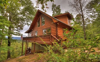 Additional View