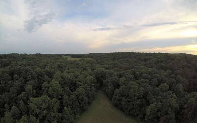 Additional View