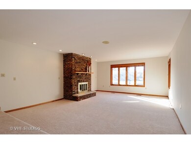 9308 Curtis Ln, Naperville, IL 60564 - photo 6
