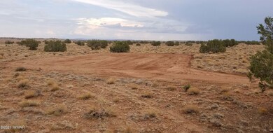 20210714_171758 Building pad 2