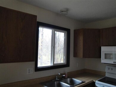 6489 Riverdale Rd, Whitmore Lake, MI 48189 - photo 5