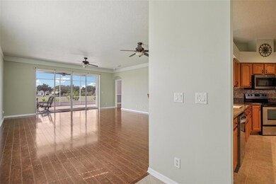 27313 Falcon Feather Way, Leesburg, FL 34748 - photo 6