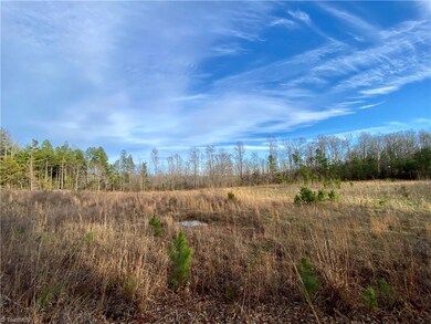 0 Pine Hill Rd, Asheboro, NC 27205 - photo 4