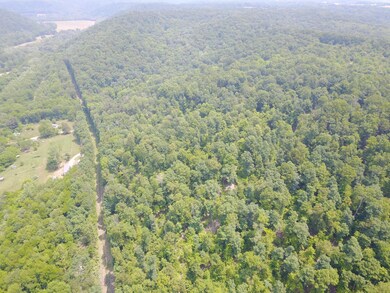 DJI_0130