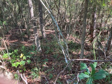 813 E Brenda Ln, Magnolia, TX 77354 - photo 5