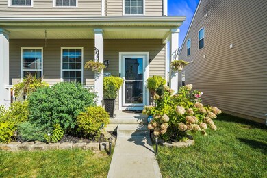 7-web-or-mls-DSC04105