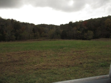 798 Red Tuttle Rd, Bethpage, TN 37022 - photo 3