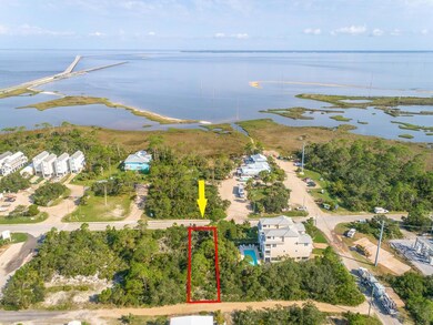 232 E Pine Ave, St. George Island, FL 32328 - photo 6
