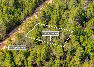 0 Shappell Ave unit 25253026, Interlachen, FL 32148 - photo 6