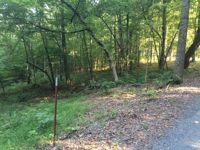 Left property line is marked