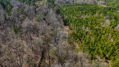 0 Halls Valley Rd NW unit 22991963, Rome, GA 30165 - photo 4