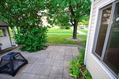 backyard from patio
