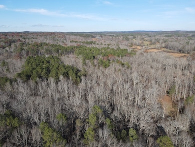 County Rd 208, Heflin, AL 36264 - photo 2