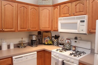 817 E 4th St unit 2, Boston, MA 02127 - photo 7