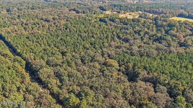 0 Cleary Rd, Florence, MS 39073 - photo 6