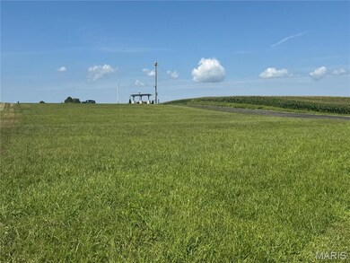 3402 Arbor View Ct, Freeburg, IL 62243 - photo 4