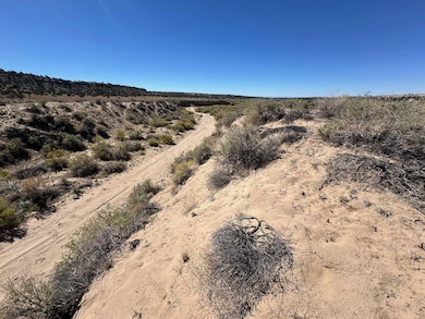 Tbd Longo Ln, Saint Johns, AZ 85936 - photo 3