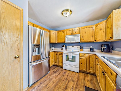 235 NW 12th St, Cedaredge, CO 81413 - photo 6