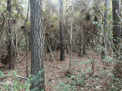 28655 Joseph Rd, Hockley, TX 77447 - photo 6