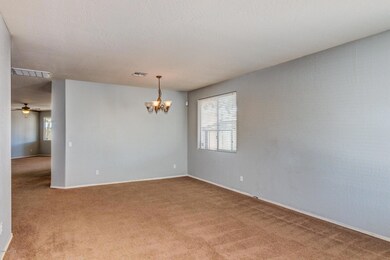 Country Shadows - 2899 (2)