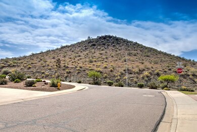 16692 S 18th Way-4