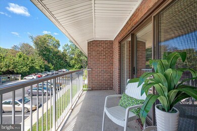 105 Fitz Ct unit 202, Reisterstown, MD 21136 - photo 5