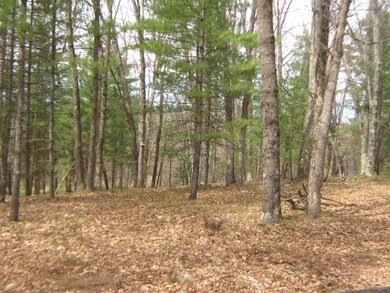 0 Rose St S unit 15022261, Idlewild, MI 49642 - photo 4