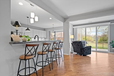 12871 Timber Creek Dr, Huntley, IL 60142 - photo 7