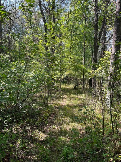 7641 Dragonfly Rd, Warrens, WI 54666 - photo 5