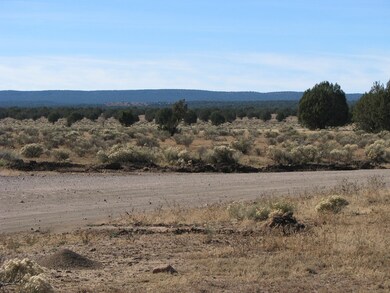 80 Cattle Dr, Ash Fork, AZ 86320 - photo 7