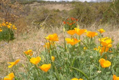 21995 S SONOITA HWY