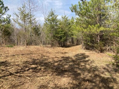 0000 Riddle Mill Rd, Clover, SC 29710 - photo 7