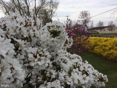 226 N Main St, Mullica Hill, NJ 08062 - photo 7